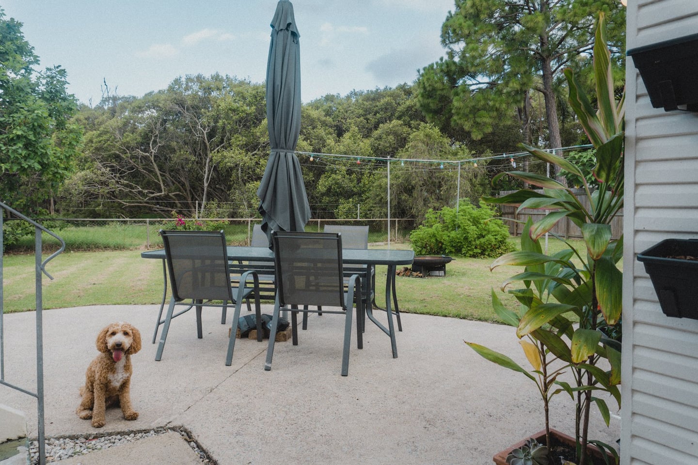 11 Of The Best PetFriendly Stays In Brisbane URBAN LIST BRISBANE