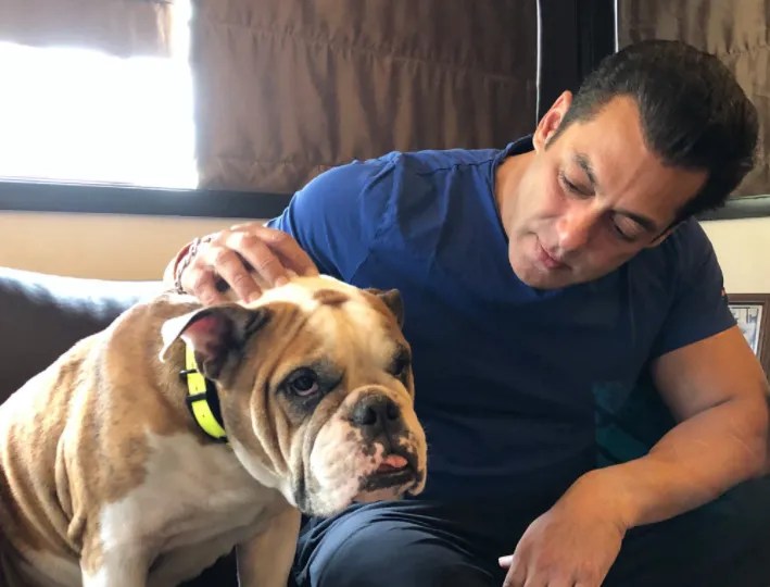 Indian celeb pets Priyanka Chopra, Hrithik Roshan, Anushka Sharma