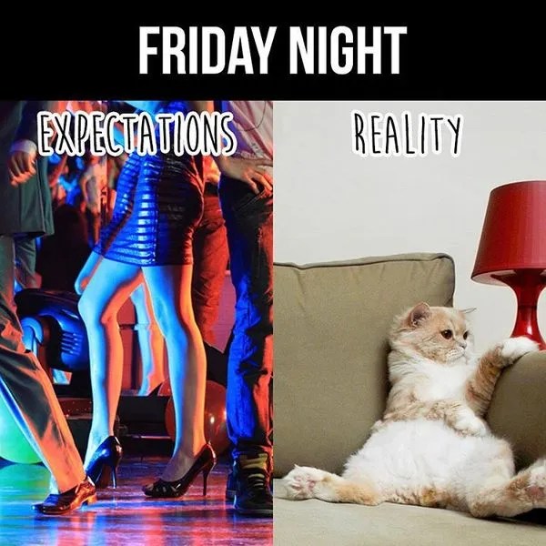 Friday lockdown memes These funny memes on how people are spending time