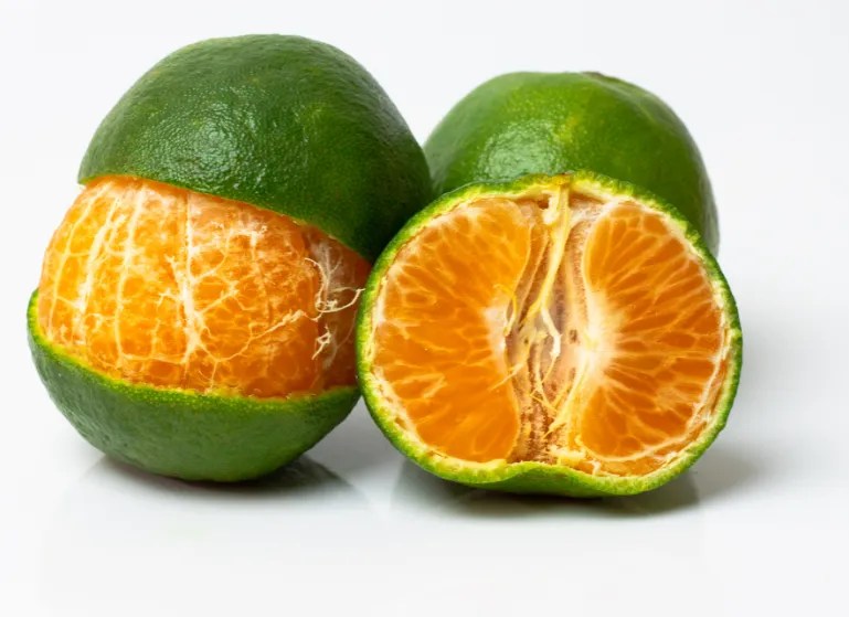 5 delicious winter fruits to add to your diabetes diet to manage blood