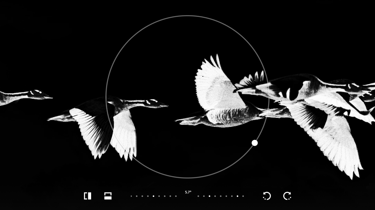 How to Scale, Crop, Flip & Filter an Image in CSS IMG.LY Blog