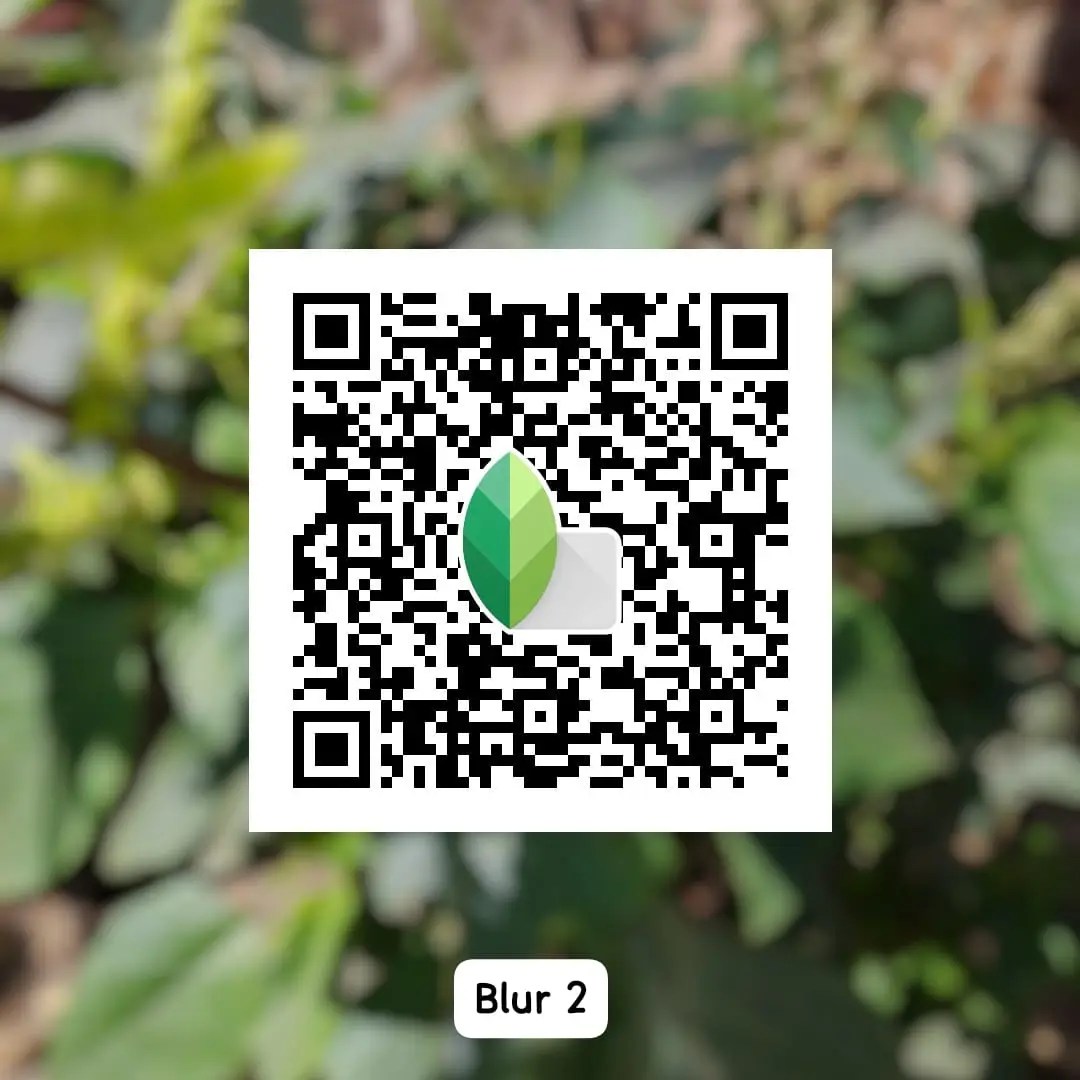 snapseed qr code photo editing preset best blur background and