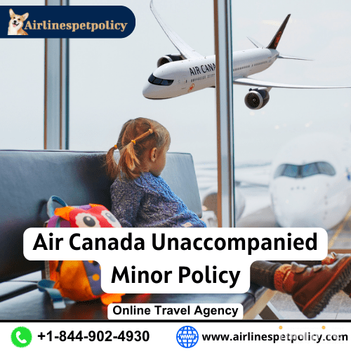 Air Canada Minor Policy ImgPile