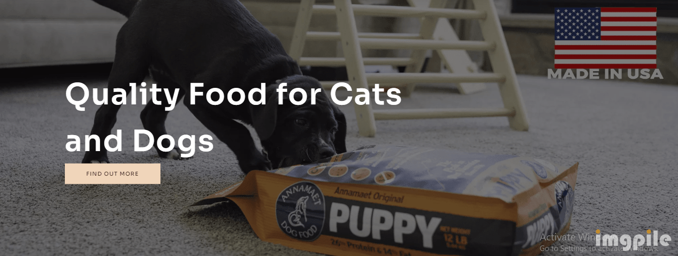 pet food Singapore ImgPile