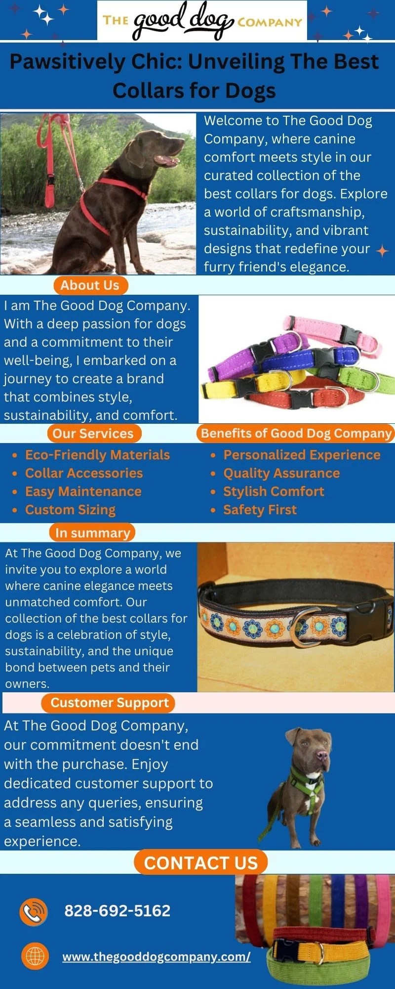 Explore The Best Collars for Dogs ImgPile