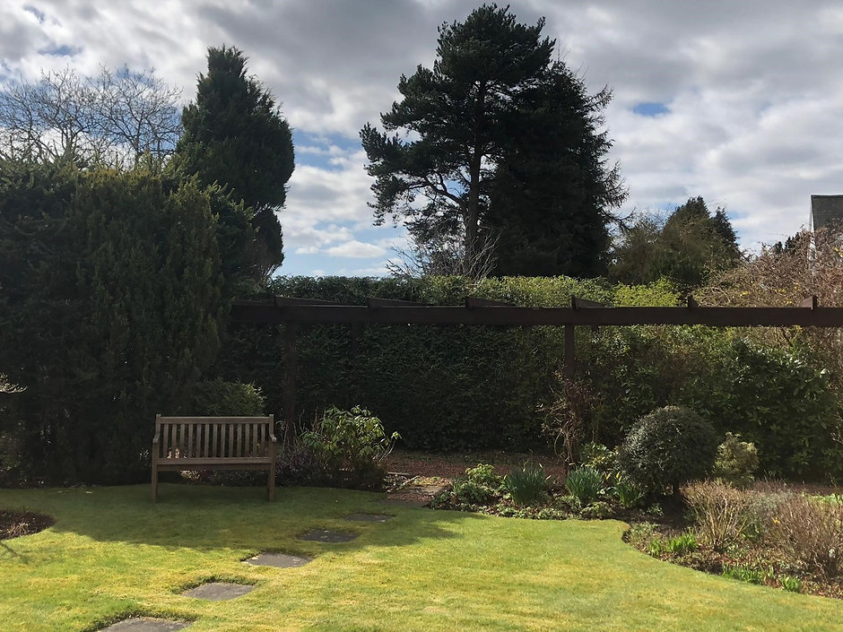 Tree Removal Edinburgh ImgPile