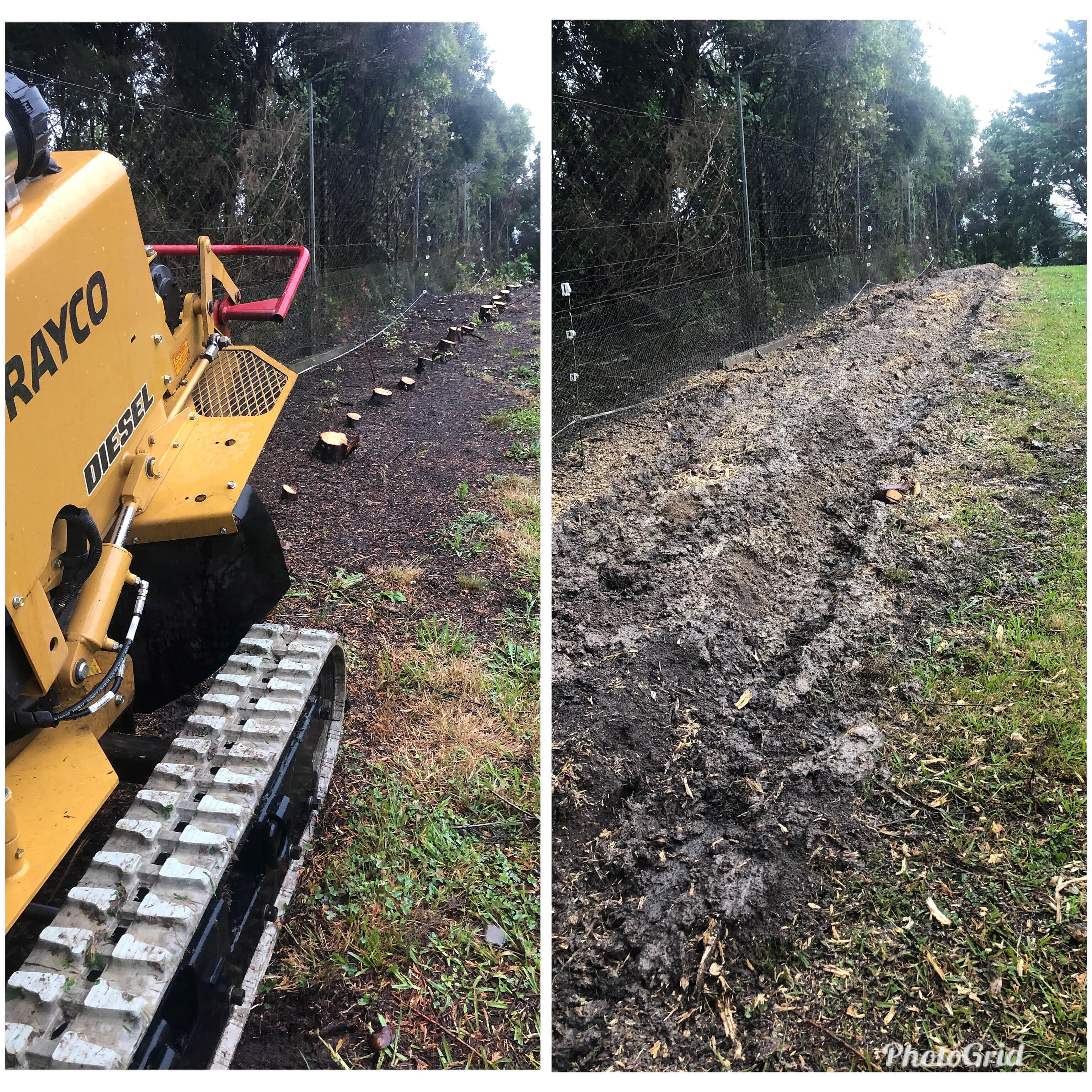 Daily Grind Affordable Tree Stump Grinding & Removal Auckland ImgPile