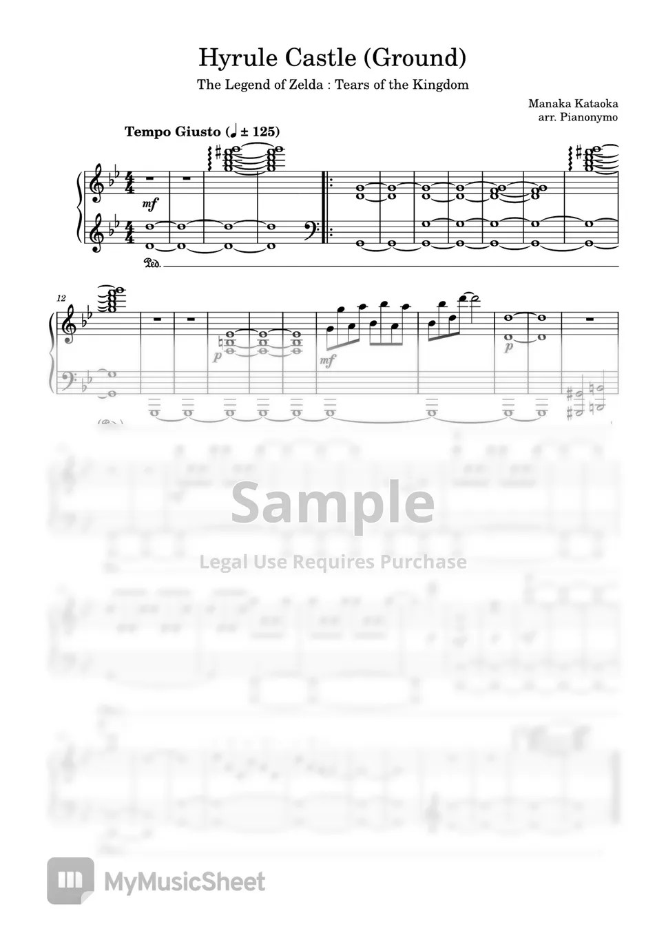 Zelda Tears of the Kingdom HYRULE CASTLE (Ground) Partition musicale