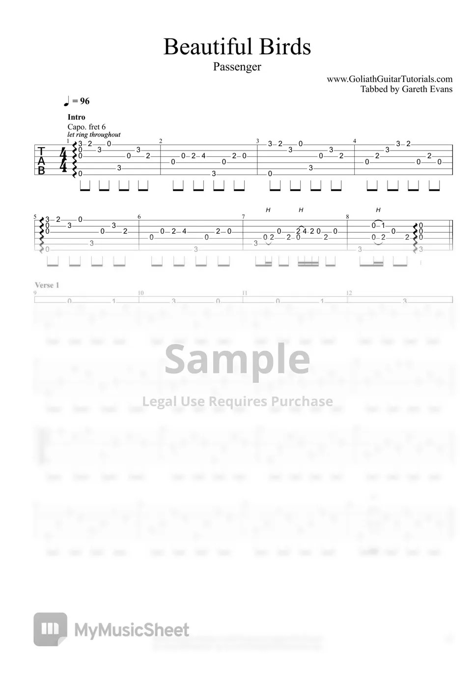 Beautiful Birds Chords