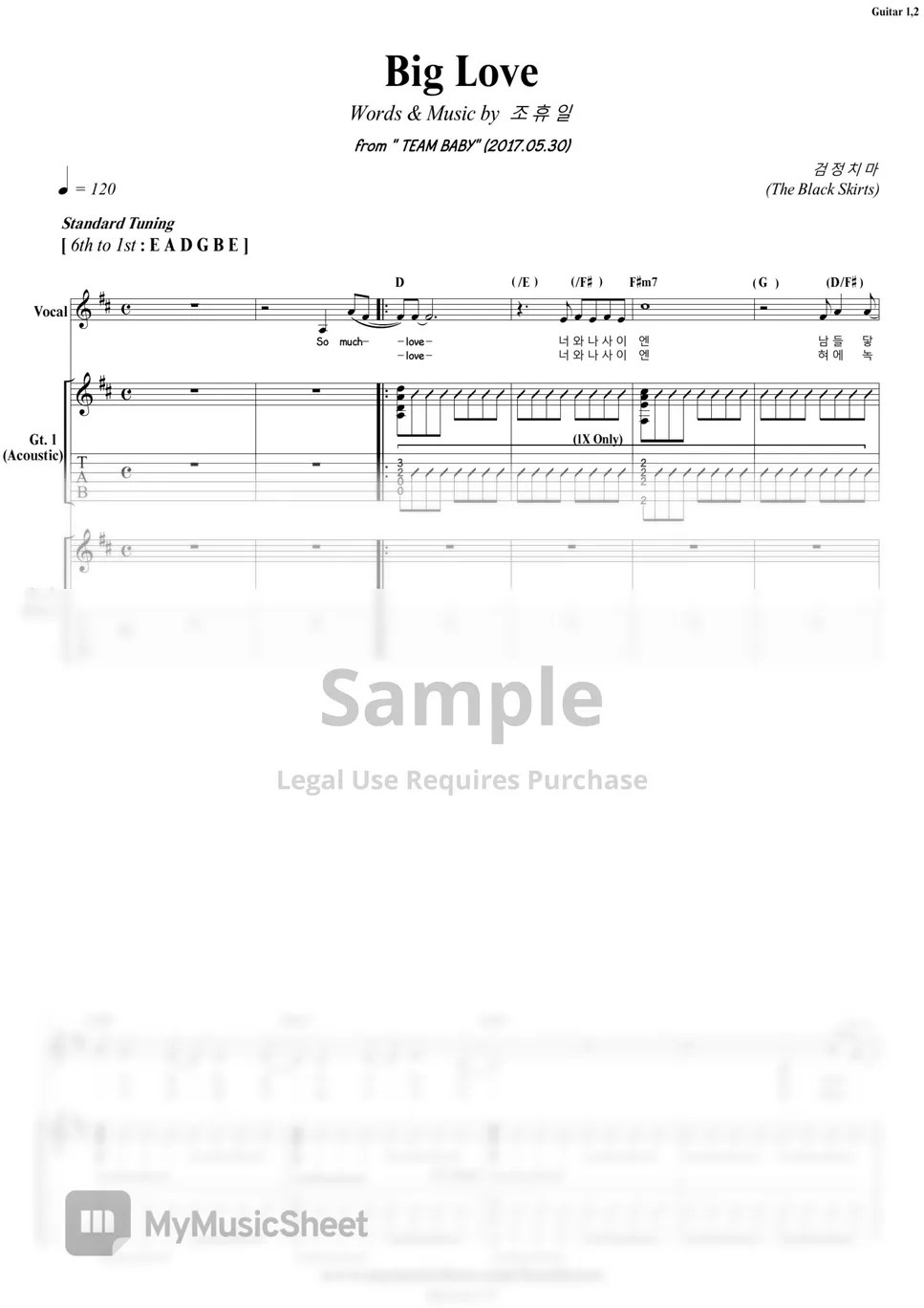 The Black Skirts Big Love Guitar Sheets