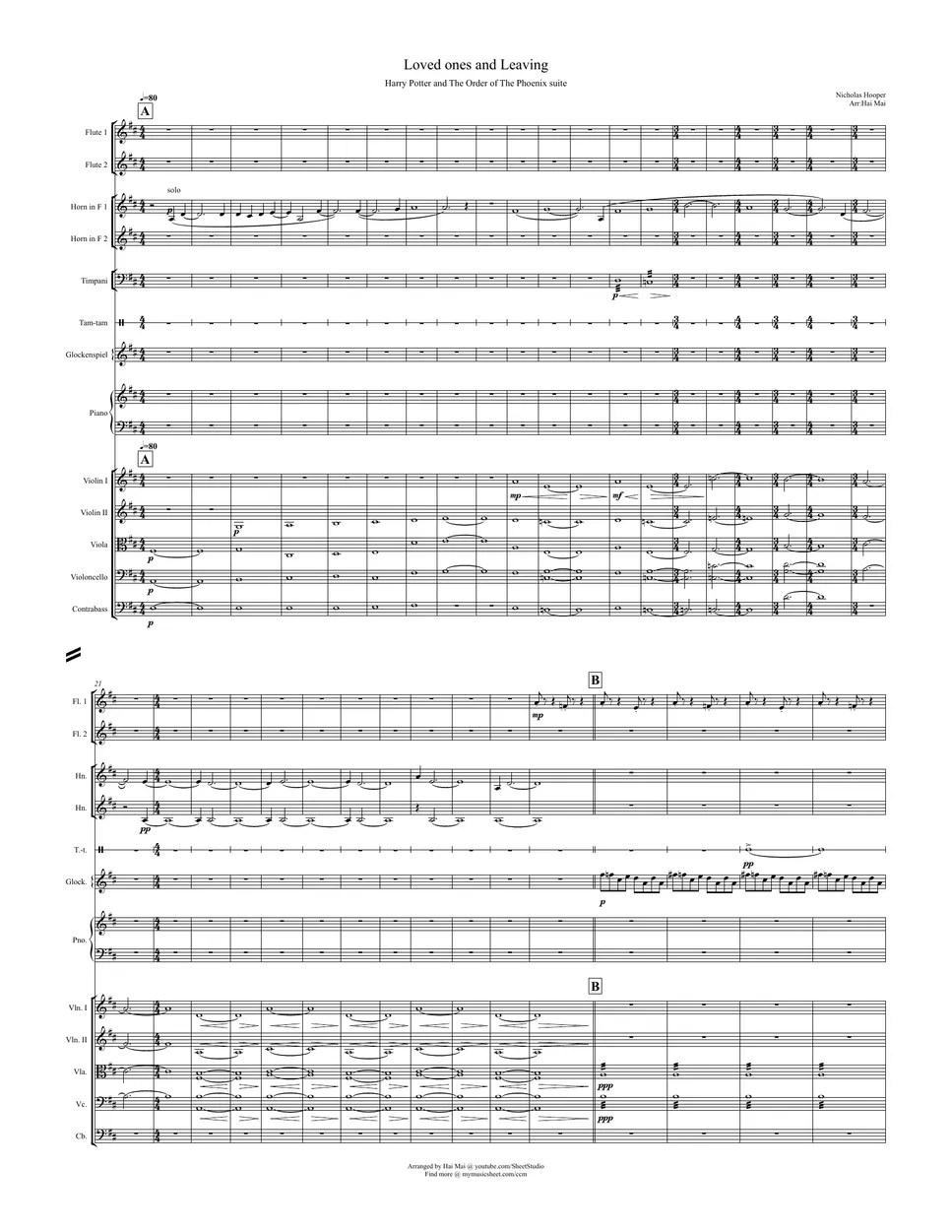 Harry Potter and The Order of The Phoenix Loved Ones and Leaving