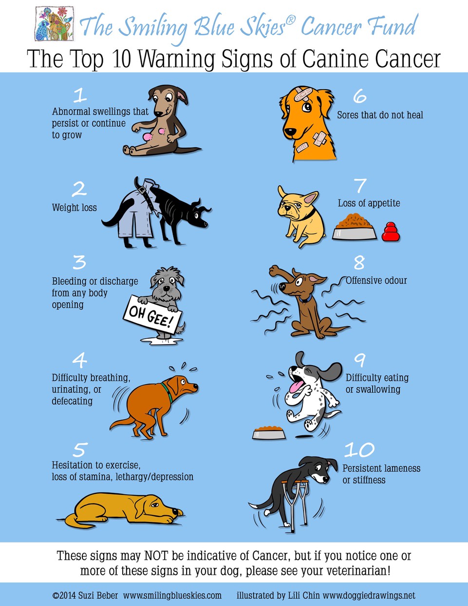 Top 5 Diagnosed Dog Cancers