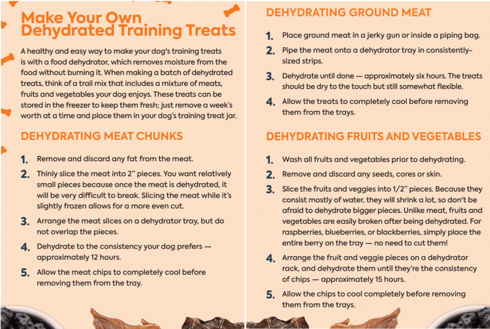 The Best Training Treats for Your Dog