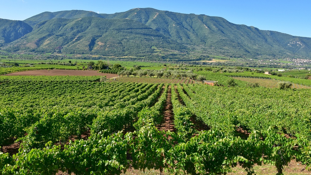 Wine 101 Italy Part V The Beginnings of a Wine Region