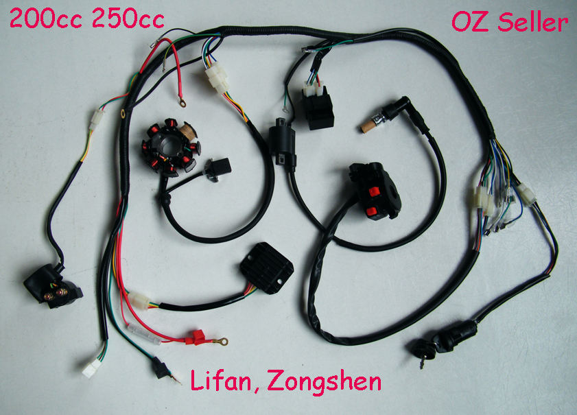COMPLETE ELECTRICS ATV QUAD 200cc 250cc CDI Wire Harness COMPLETE ELECTRICS ATV QUAD 200cc 250cc CDI Wire Harness