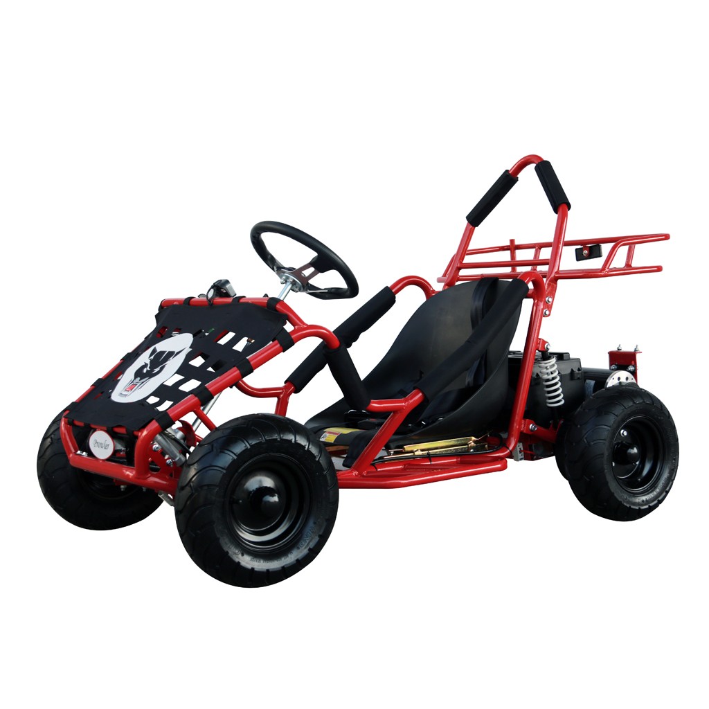 Electric Racing Outdoors Go Kart 48v 1000w Kids Quads Off Road Go Kart