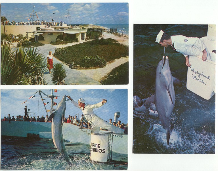 Marineland FL Lot of 3 1950's Postcards Florida eBay
