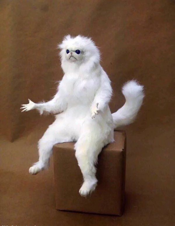 Confused Monkey Meme Generator