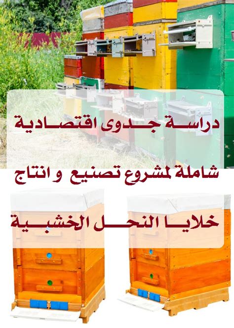 :: أهمية إجراء دراسة جدوى لمشروع تصنيع المسامير الخشبية ::