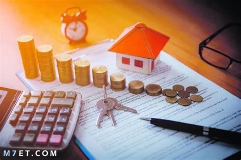 1- المؤسسة العربية لدعم وتطوير المشاريع والأفكار