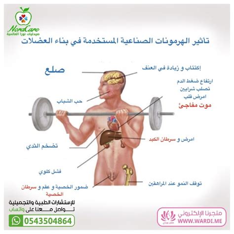 2- اضرار هرمون التستوستيرون في كمال الاجسام