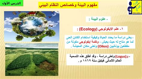 2- البدء في التفاعل مع البيئة المحيطة