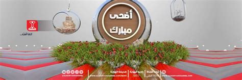 2- التواصل مع قناة الهوية اليمنية عبر موقعها الالكتروني