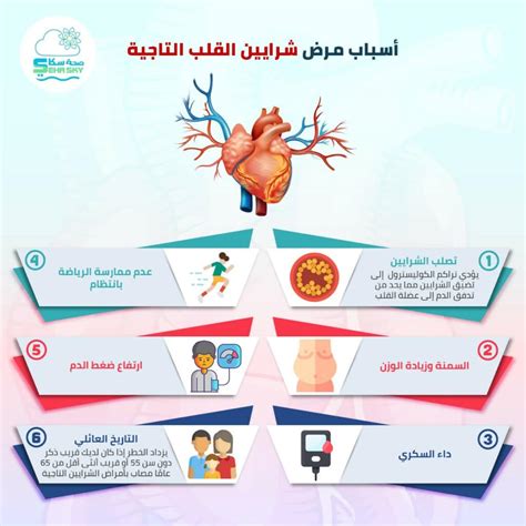 2- المساهمة في الحد من الإصابة بأمراض الشرايين التاجية