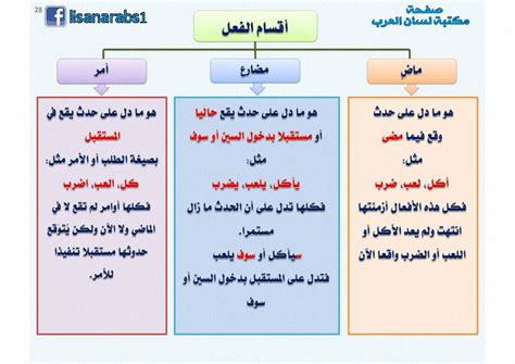 2- الهيكل الثاني هو فعل المضارع والفعل