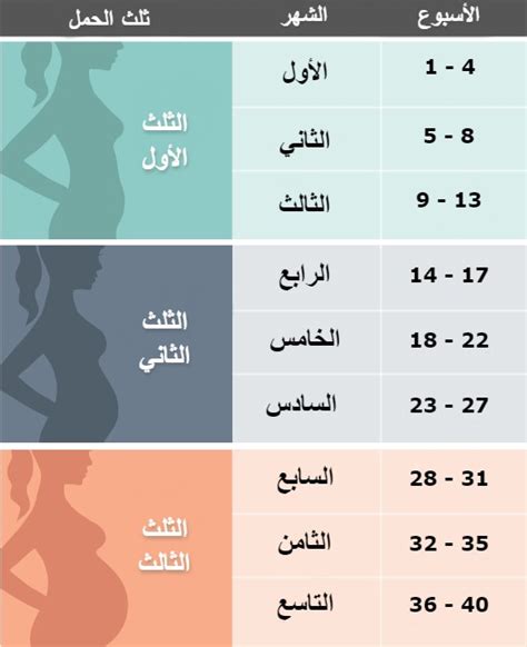 2- كيف يتم تحويل أسابيع الحمل إلى أشهر؟