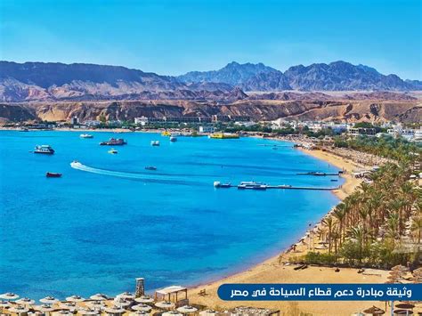 2. مبادرة دعم قطاع السياحة (مبادرة شركات السياحة المتعثرة)