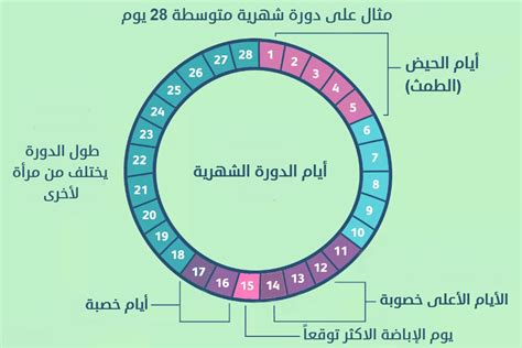 2- متى تكونين أكثر خصوبة؟