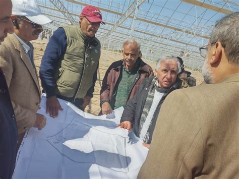 2- نقاط بيع لبيع شتلات وزارة الزراعة بالقاهرة