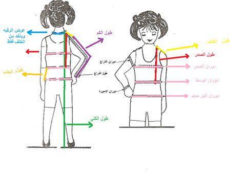 4- قياس محيط الفخذين 4- قياس محيط الفخذين