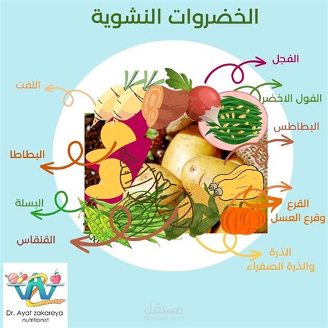 7. التغذية اليومية