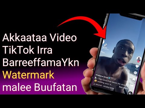 Akkaataa Video TikTok Irra Barreefafma Ykn Watermark Malee Buufatan
