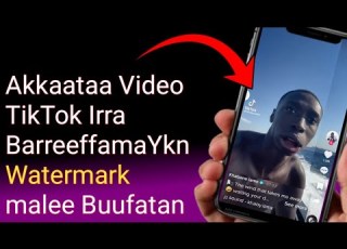 Akkaataa Video TikTok Irra Barreefafma Ykn Watermark Malee Buufatan