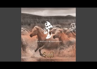 The Beautiful Mongol Horse
