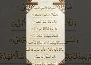  و الض ح ى و الل ي ل إ ذ ا س ج ى م ا و د ع ك ر ب ك و م ا ق ل ى و ل ل آخ ر ة خ ي ر ل ك م ن