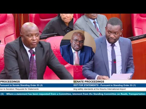 Senator Osotsi Erläutert Die Ereignisse Wie Bewaffnete Schläger Sich Am Flughafen Kisumu Versamm