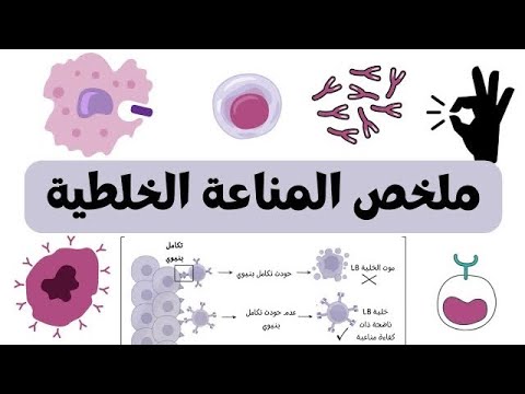 ملخص المناعة الخلطية بكالوريا 2026
