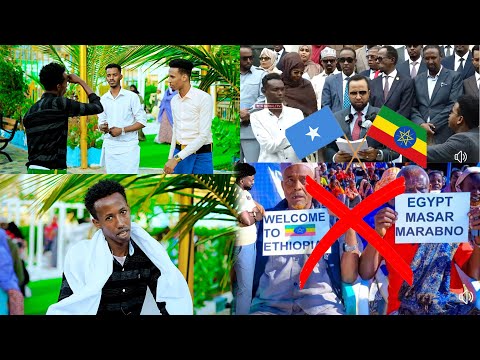 DHAANTO CUSUB MADOONEYNO WAXA QARSOON ABWAAN RAALI NEW VIDEO DHAANTO 2024