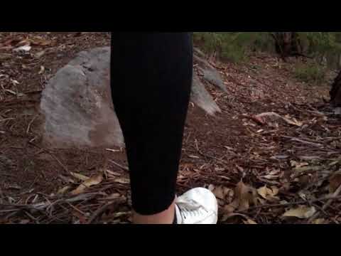 FOM Tiger Shoes Advert 15 Seconds