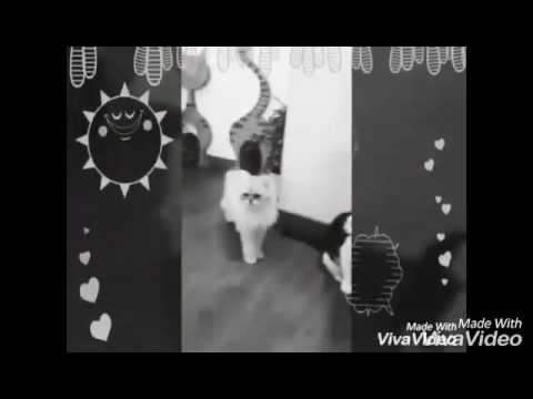 Welcome To Our New Channel