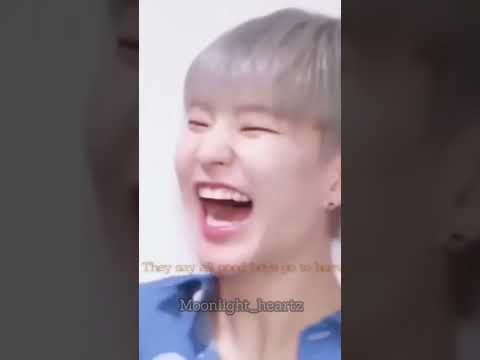 Probably The Last And The Best Tiger Of South Korea Who Is Actually A Hamster Seventeen Hoshi