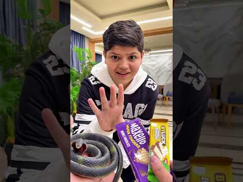 Would You Take A Snake Or A Cookie Funny Sigma