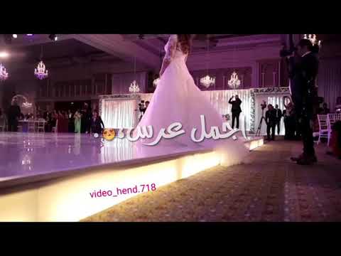 عرس الغوالي اليوم اجمل عرس