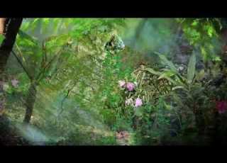 Ernesto Cortazar Eternity