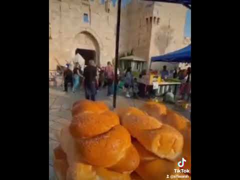 يحميك الله يا قدس