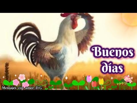 Vídeo Corto Y Bonito Para Ti Abrelo Saludos Con Imagenes Feliz Y Bendecido Día Frases Bellas Vídeo Corto Y Bonito Para Ti Abrelo Saludos Con Imagenes Feliz Y Bendecido Día Frases Bellas